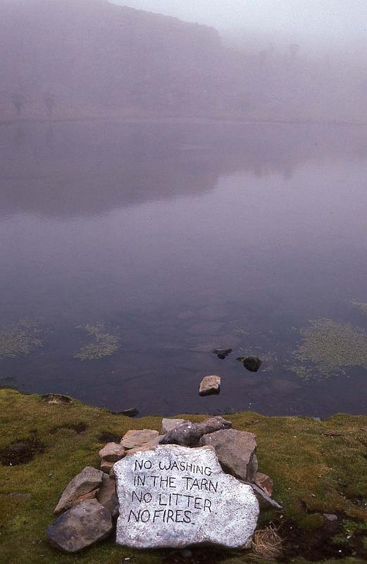 WT 1400 216-24 Kenya.jpg